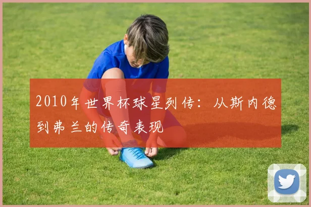 2010年世界杯球星列传:从斯内德到弗兰的传奇表现