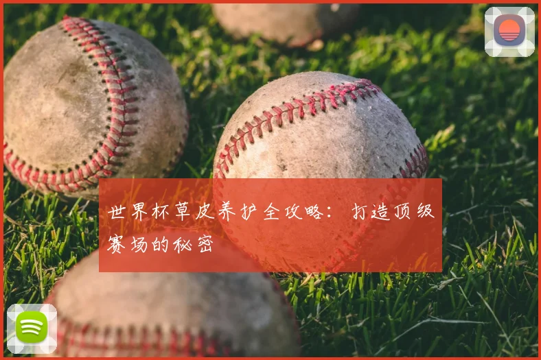 世界杯草皮养护全攻略：打造顶级赛场的秘密