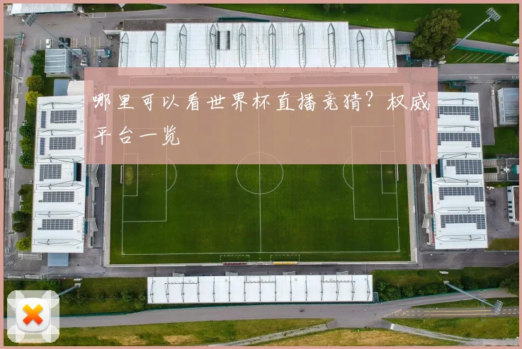 哪里可以看世界杯直播竞猜?权威平台一览