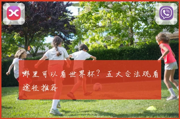 哪里可以看世界杯?五大合法观看途径推荐