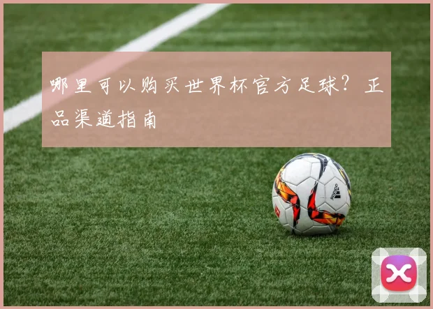 哪里可以购买世界杯官方足球?正品渠道指南