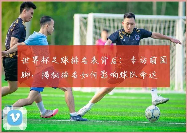 世界杯足球排名表背后：专访前国脚，揭秘排名如何影响球队命运