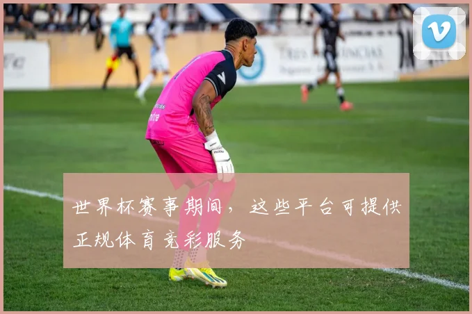 世界杯赛事期间,这些平台可提供正规体育竞彩服务