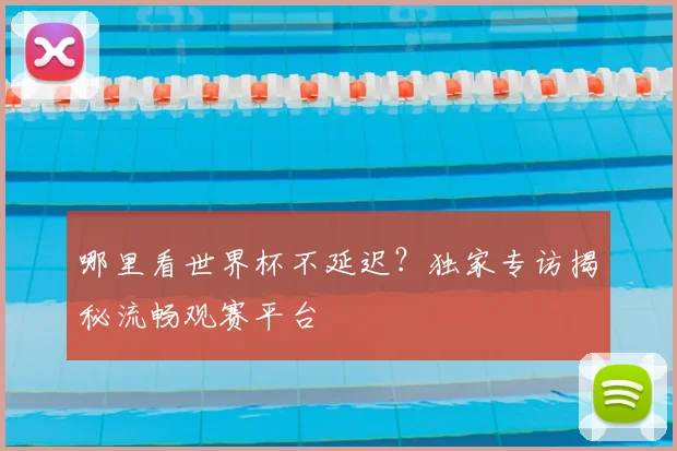哪里看世界杯不延迟?独家专访揭秘流畅观赛平台