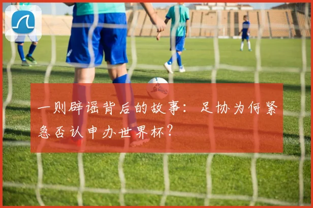 一则辟谣背后的故事:足协为何紧急否认申办世界杯?