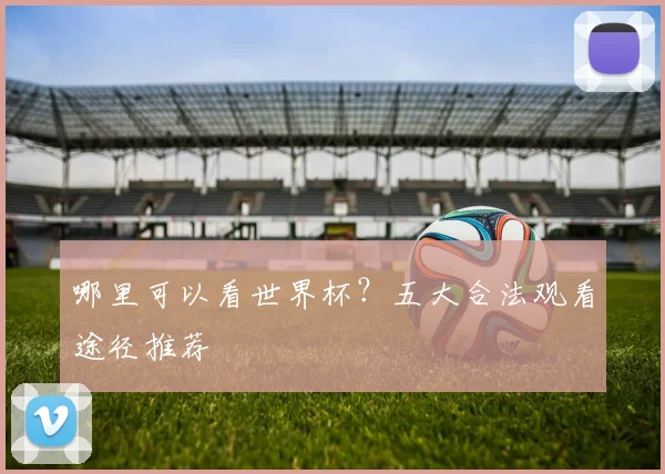 哪里可以看世界杯?五大合法观看途径推荐