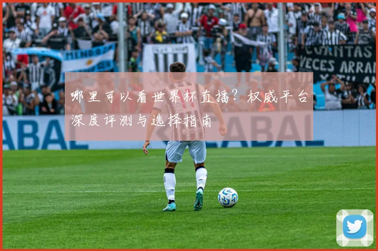 哪里可以看世界杯直播?权威平台深度评测与选择指南